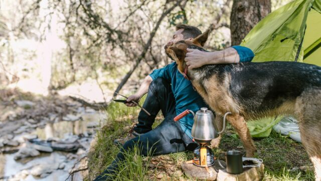 Camping With a Dog: Packing Checklist, Campground Rules and Safety Tips