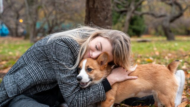 How to Socialize a Puppy: The Sensitive Window and Safe Exposure Before Full Vaccination